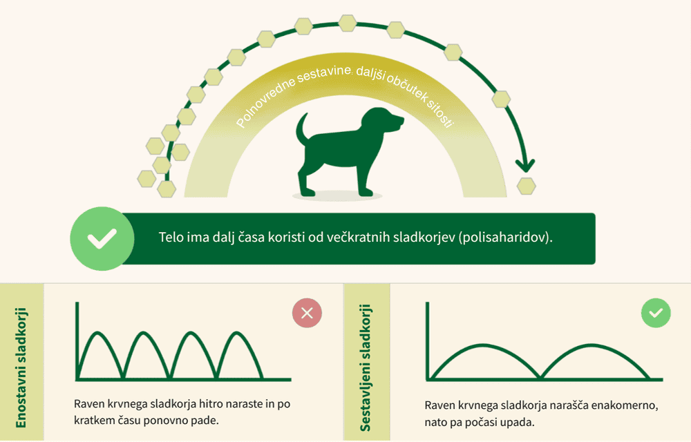 Hrana za pse brez žitaric