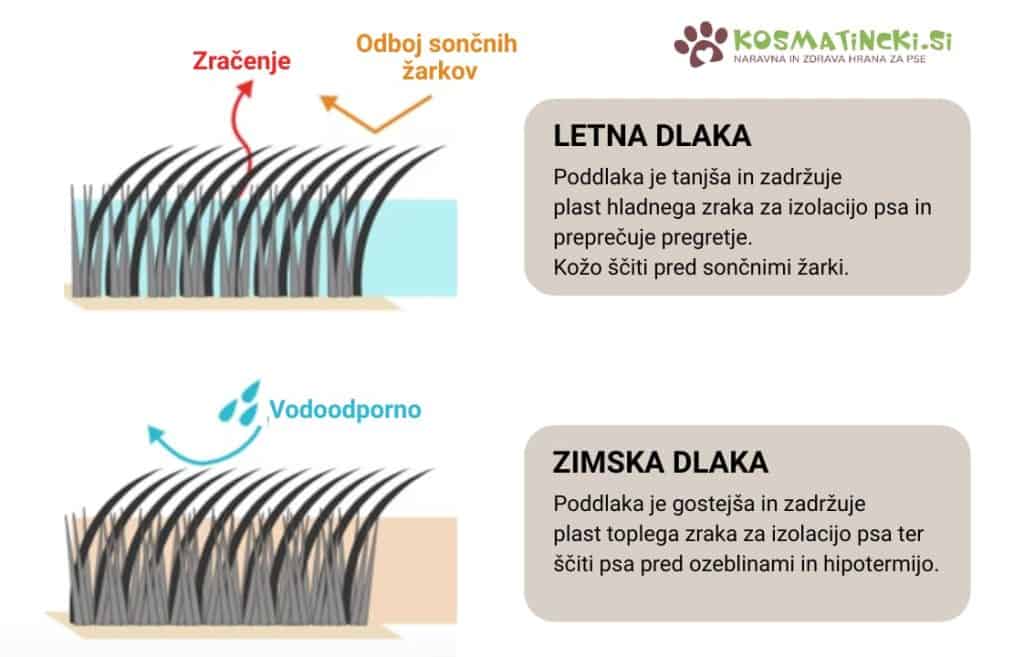 menjava dlake pri psih