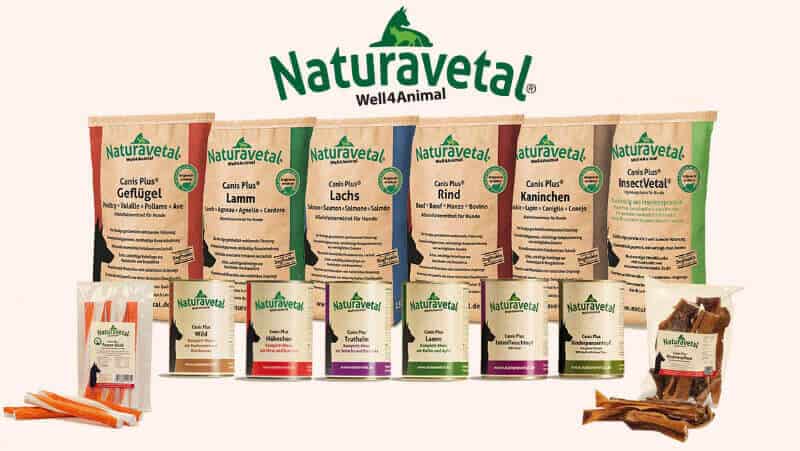 bioresonanca za pse in naturavetal