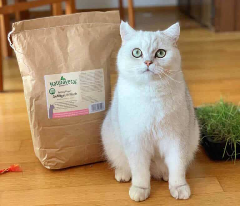 felins plus hladno stiskana hrana za mačke