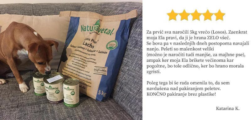 Mnenje stranke Katarina