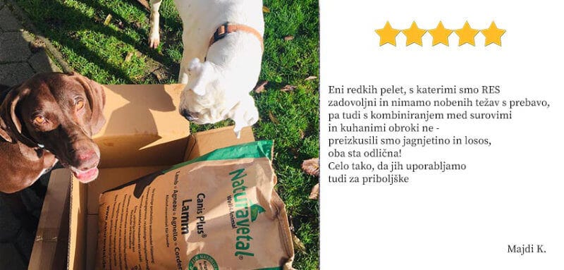 Mnenje stranke Majdi