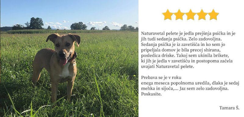 Mnenje stranke Tamara