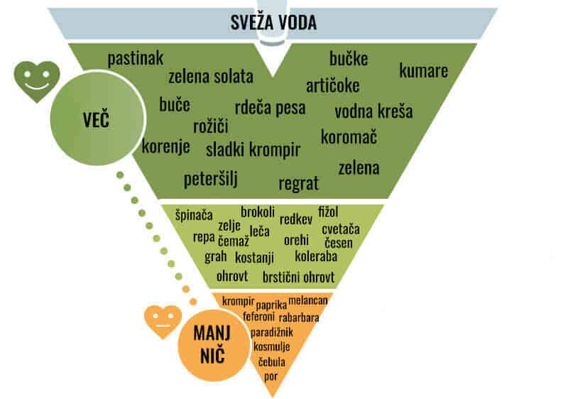 zelenjava za psa primerna in manj primerna
