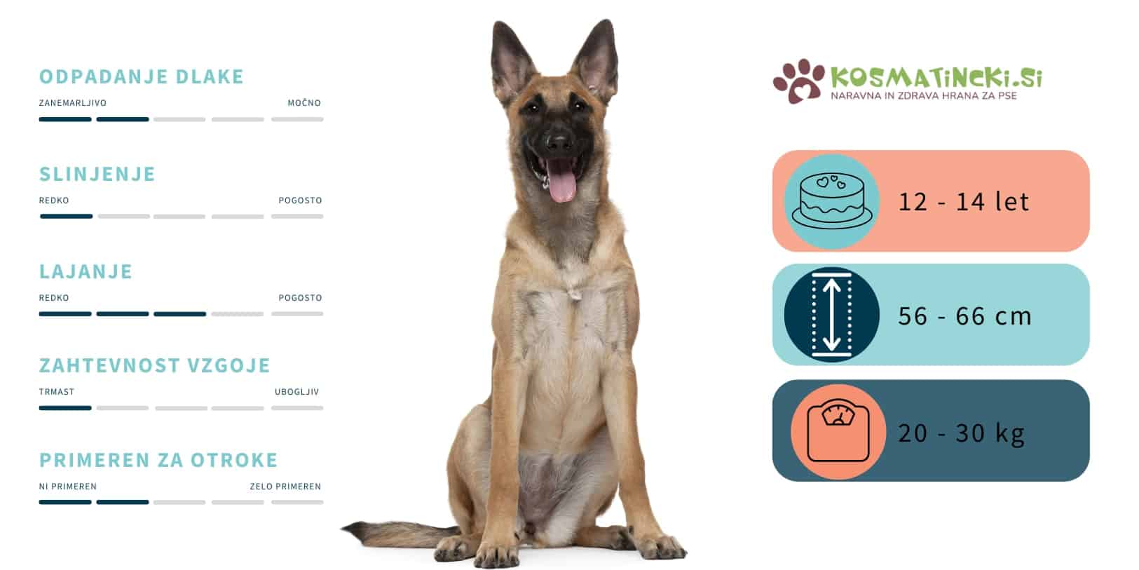 Belgijski ovčar Malinois