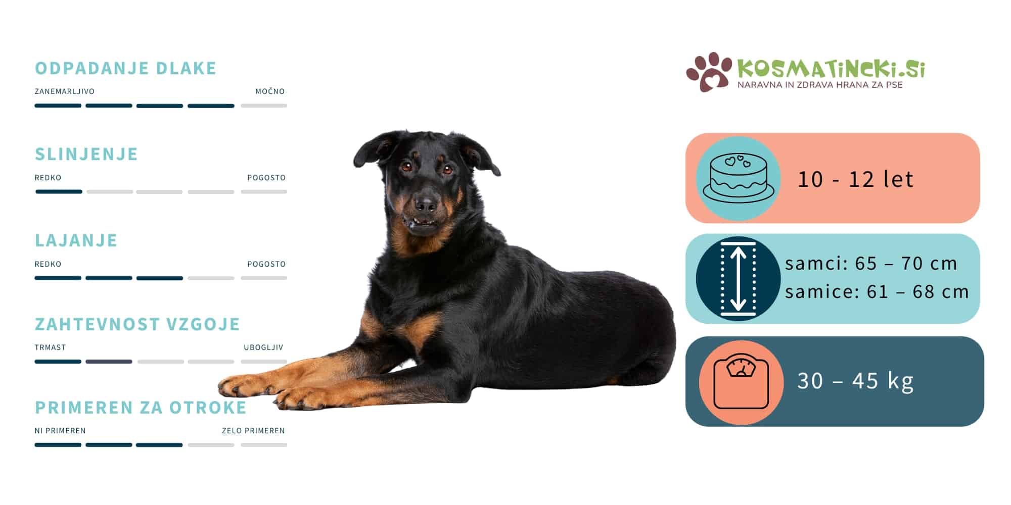 Beauceron