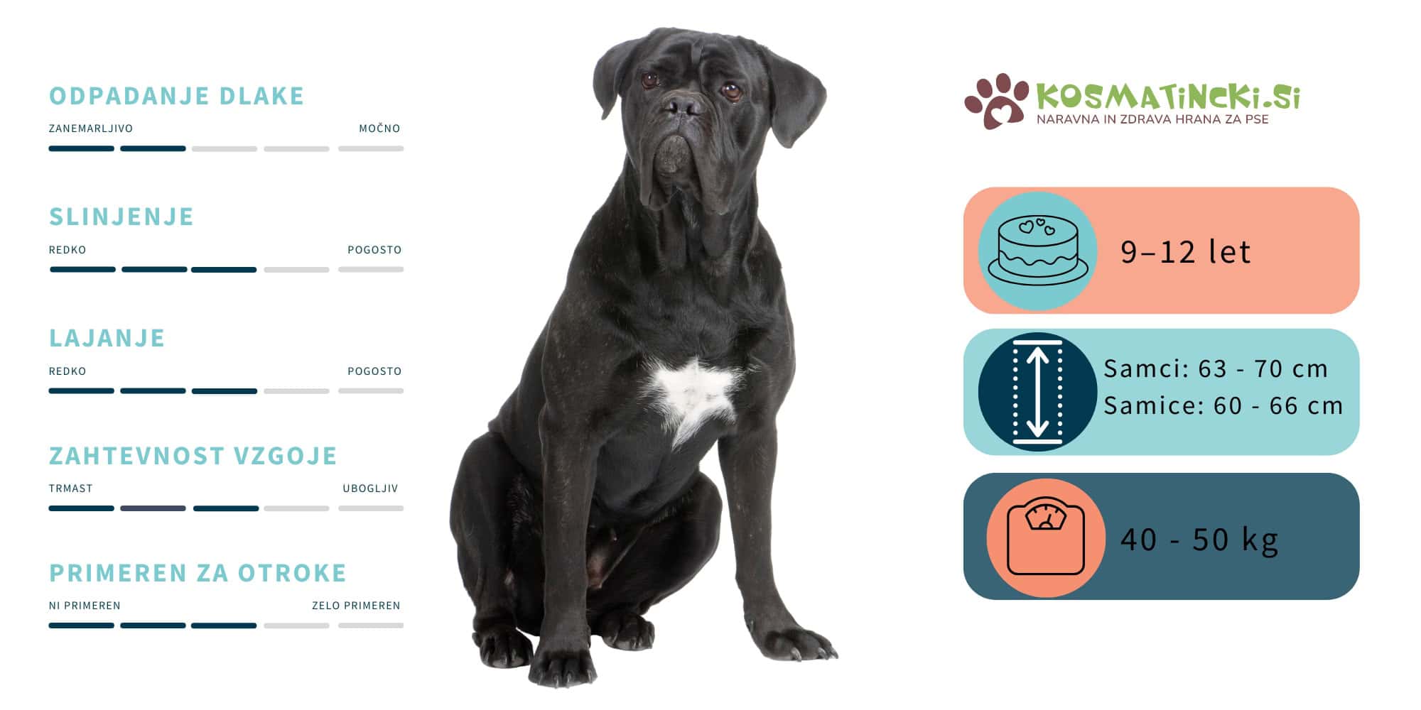 cane corso pasma