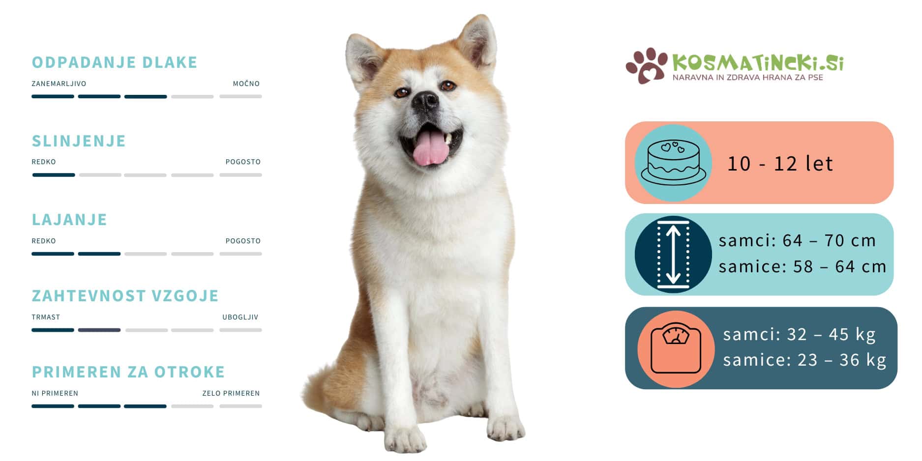 Akita inu osnovne znacilnosti pasme