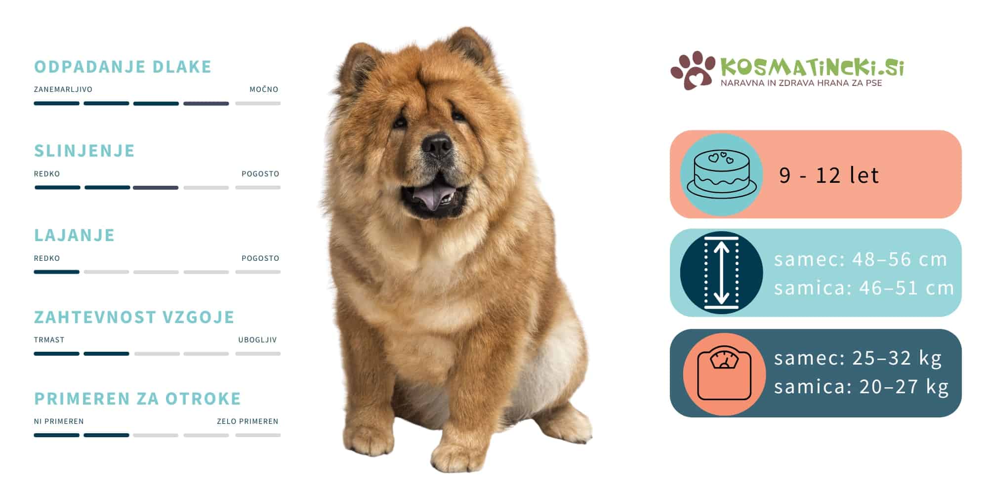 Pasma psa Chow Chow