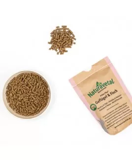 Felins Plus perutnina in losos