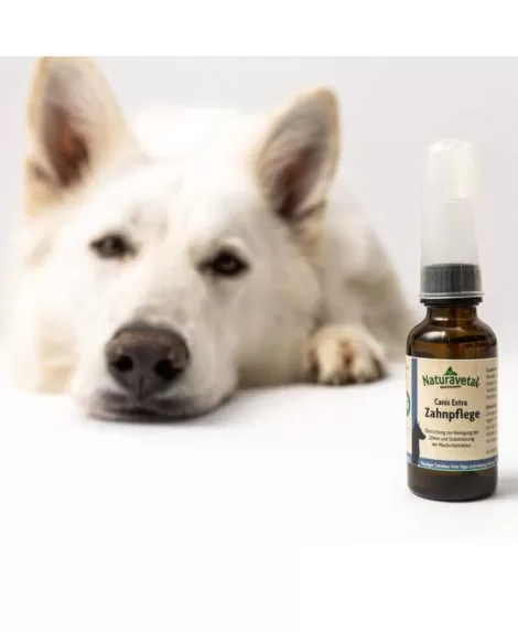 Canis Extra nega zob za pse - oljna zobna pasta za pse 30 ml