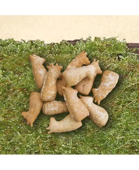 Canis Plus požeruhi z mahajočimi repki 200 g