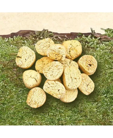 Canis Plus slastni zalogajčki 200 g