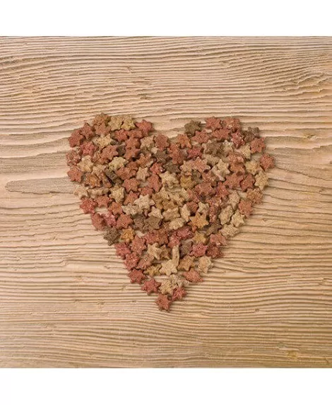 Canis Plus ribje zvezdice 100g