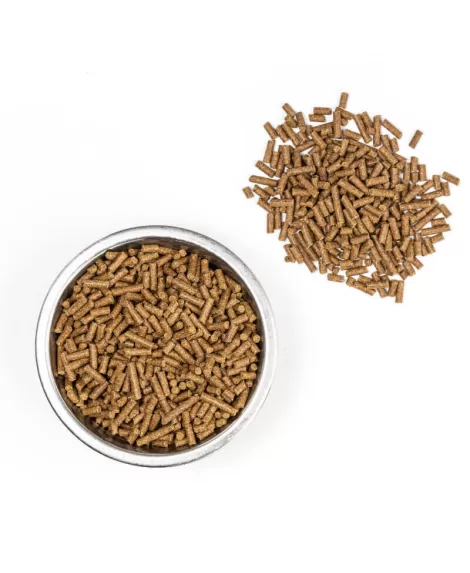 Canis Plus govedina mali peleti Canis Plus govedina mali peleti