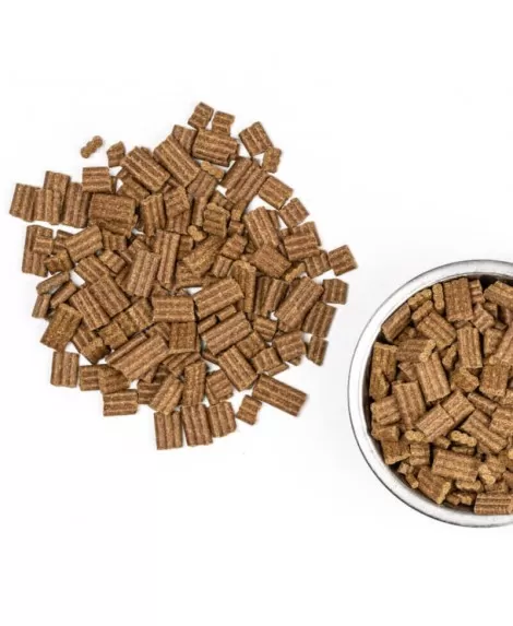 Canis Plus piščanec