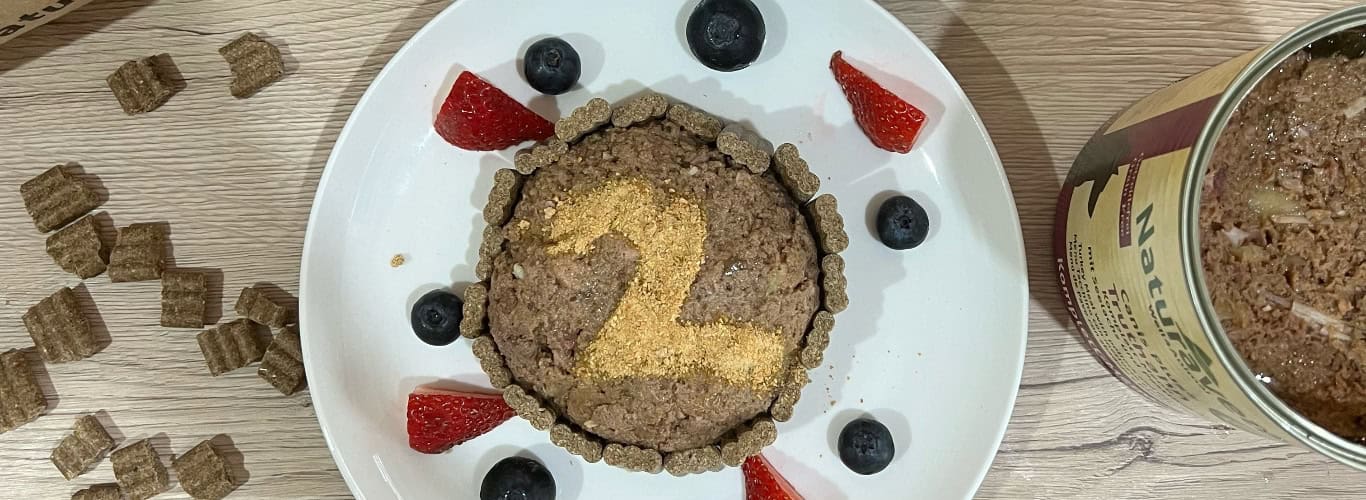 Tudi psi praznujejo rojstni dan