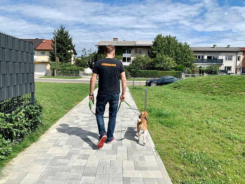 sprehod pasjega mladiča