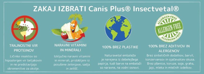 Insektna hrana za pse