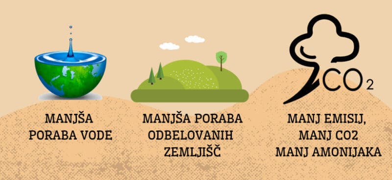 insektna hrana za pse