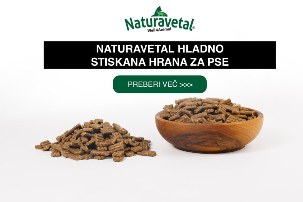 Naravna hrana za pse