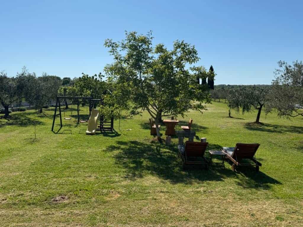 Ograjena parcela in nasad oljk