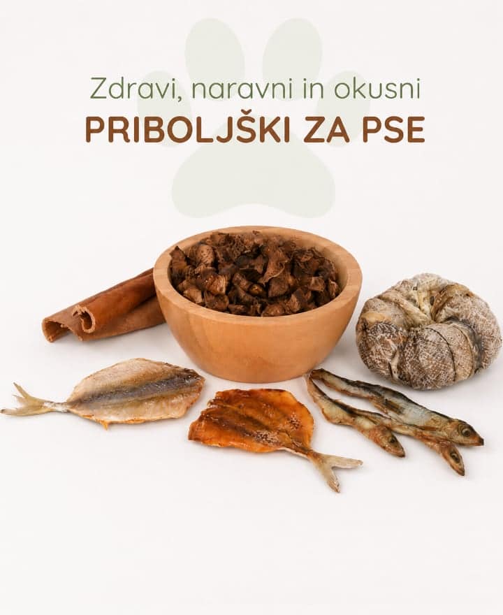 Priboljski za pse