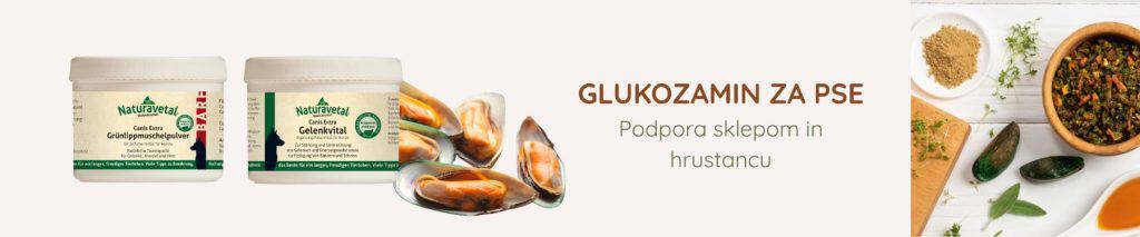 Prehranski dodatki Glukozamin