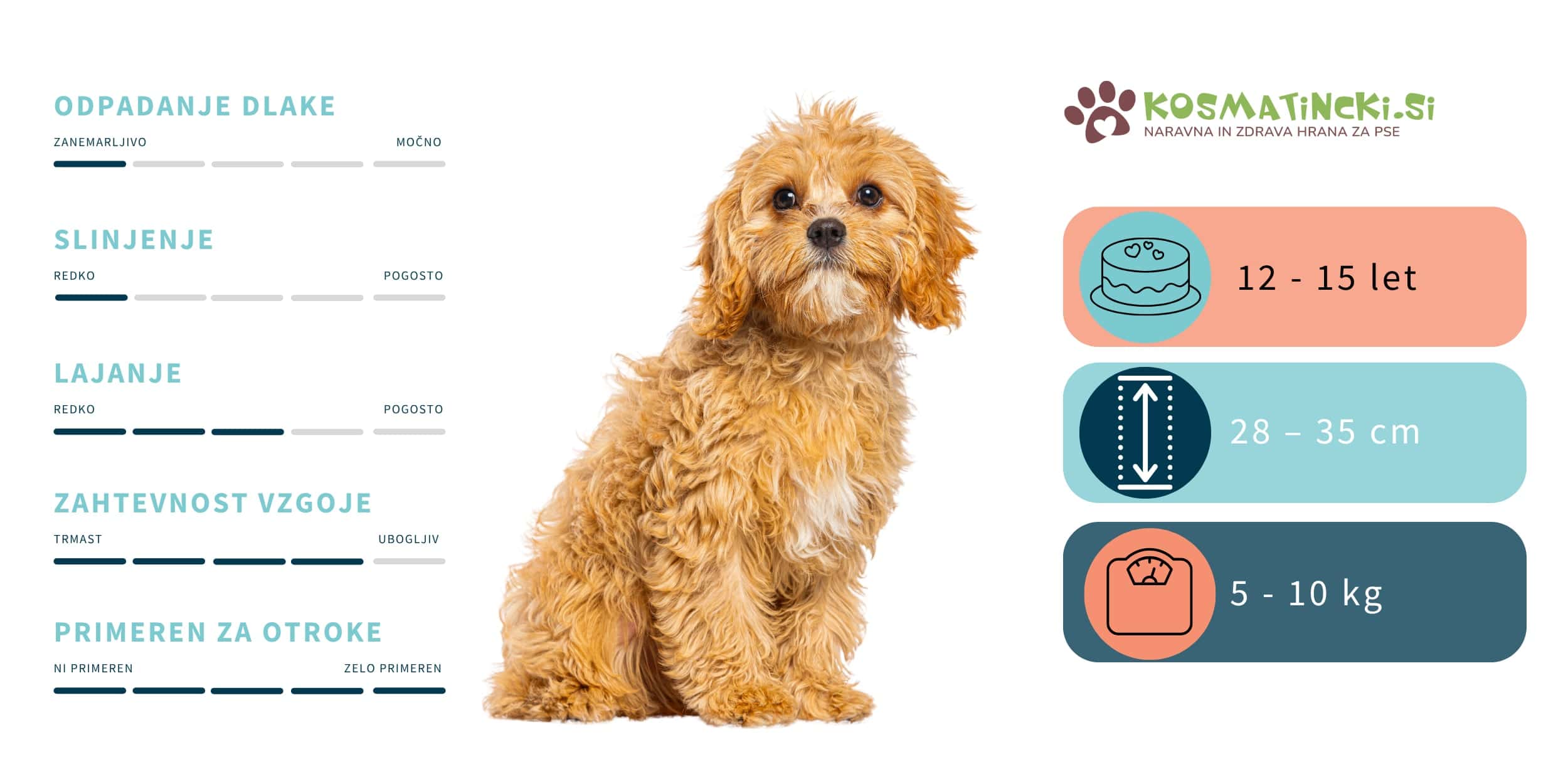 Cavapoo značilnosti pasme